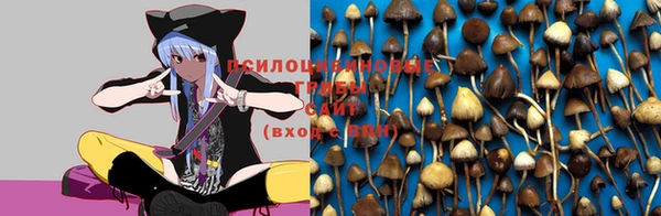jwh Кодинск