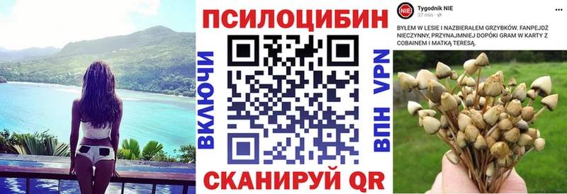 Галлюциногенные грибы MAGIC MUSHROOMS Купить Кремёнки